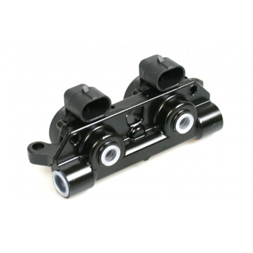 VGI LPG Injectorrail 2 Cil AEB INJ R2S I-PLUS - Aluminium versie