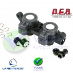VGI LPG Injector Rail 2 Cyl AEB INJ RP2SU - Plastic Polymer Version