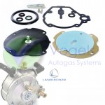 Landi Renzo Revisionsset für LPG-Verdampfer Typ LSE98-Li02