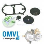 Revisieset voor OMVL Dream Verdamper 3/4 Cylinder