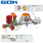 Drukregelaar GOK EN61 - 50mbar 1kg/h - Shell Komb.A W21,8 x RVS 8mm met afsluitklep voor lektesten