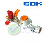 Drukregelaar GOK EN61 - 50mbar 1kg/h - Shell Komb.A W21,8 x RVS 8mm met afsluitklep voor lektesten